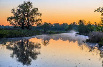 Before dawn. / ***