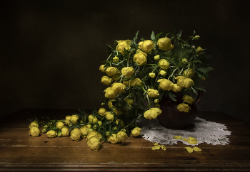 Globe-flower / ***