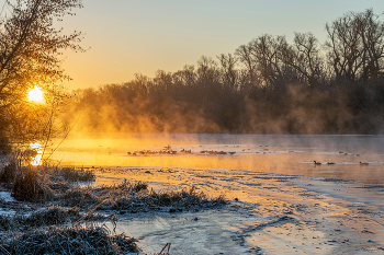 Morning feeding / ***