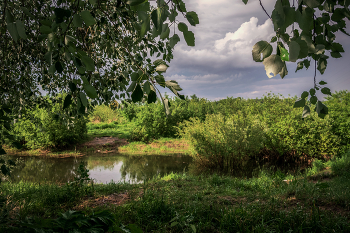 Before the storm / ***
