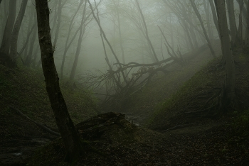 Misty / ***