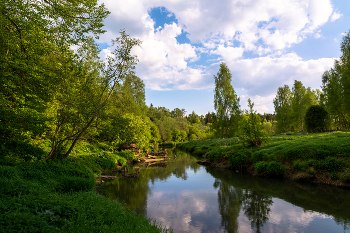 Quiet summer evening / ***