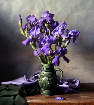 Irises / ***