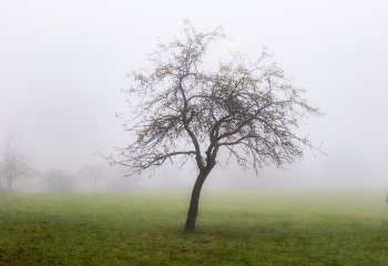 Autumn loneliness / ...