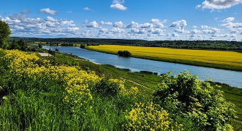 May landscape. / ***