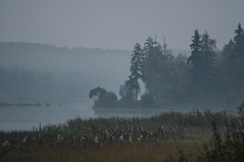 Morning on the lake / ***