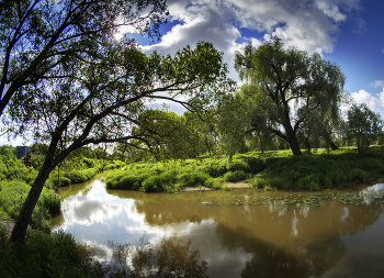 river landscape / ***