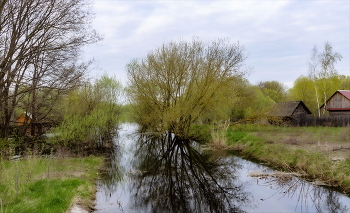 Quiet Harbor / ***
