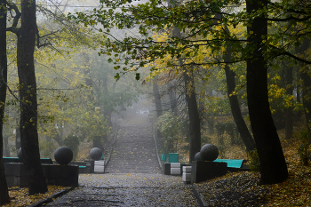 In the old park / ***