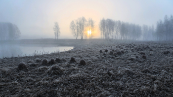 Through the mist. / ***