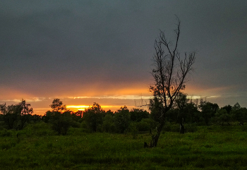 Day Parting ... / ***