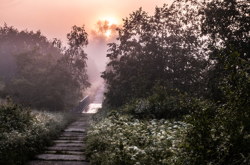 สะพานในสายหมอก / ........