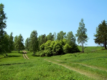 Forest Road / ***