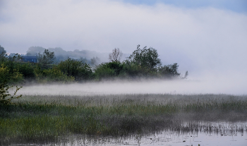 Morning fog. / ***