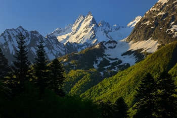 Morning in the mountains / ***