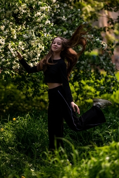 Flowering cherry / ***
