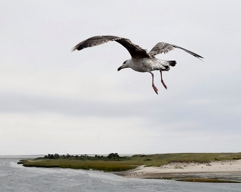 On landing / ***