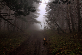 there miracles ... / ***