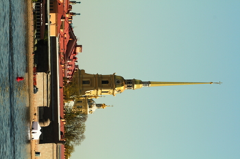 &nbsp; / ...............