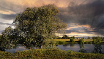 On the lake / ***