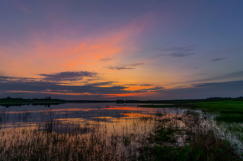 Dawn / ***