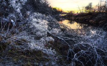 Spring evening. / ***