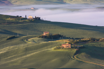 Diagonal fog / ***
