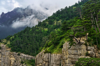 On the southern slopes of the Ai-Petri / ***