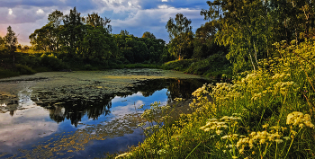 May landscape. / ***