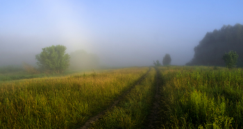 Summer morning. / ***