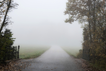 Autumn road / ***
