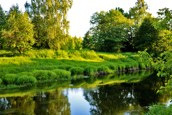 June landscape / ***