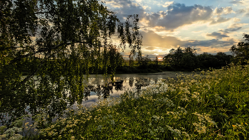 Evening Landscape / ***