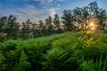 Before the sunset / ***