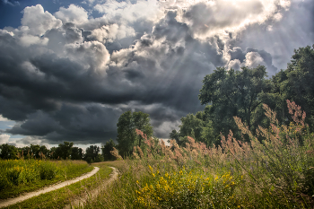 Before the storm / ***