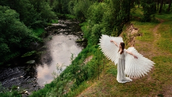 angel wings / ***