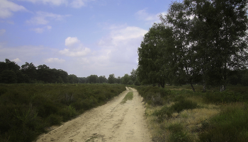 Road / ***