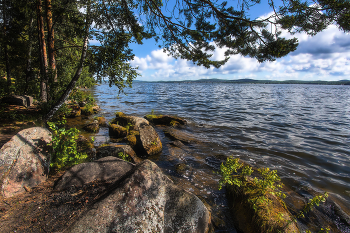 Lake Shore / ***