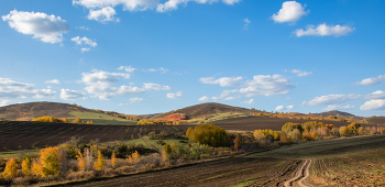 Autumn / ***