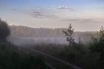 Fog / ***