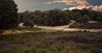 Roads and paths / ***