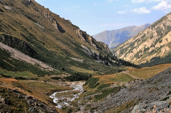 Mountain Gorge / ***