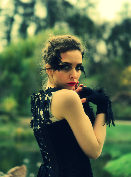crow / ***