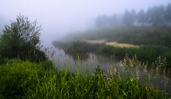 Foggy morning. / ***
