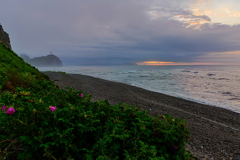 Foggy morning / ***
