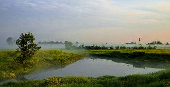 Summer morning. / ***