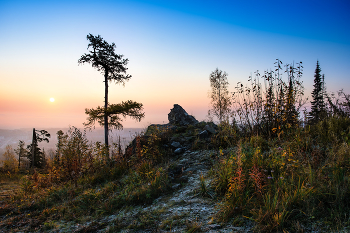 Morning frost / ***
