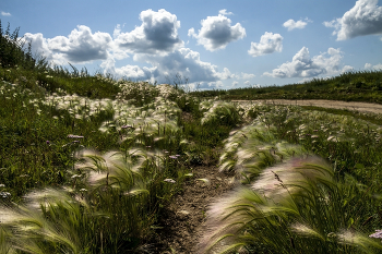 On the outskirts / ***