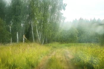Rainfall ... / ***