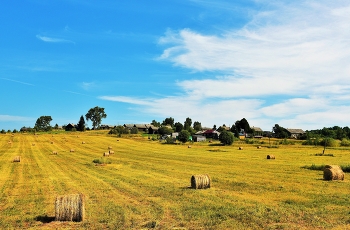 Summer in the country ... / ***